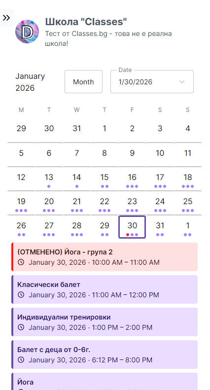 Mobile Calendar View